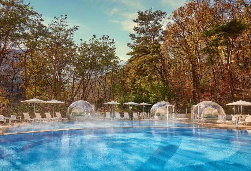 فندق Paraspara Seoul