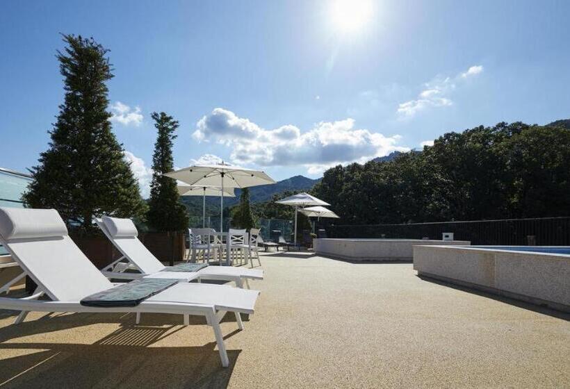 فندق Paraspara Seoul