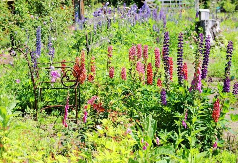 בית מלון כפרי Ryobou Hanaemi