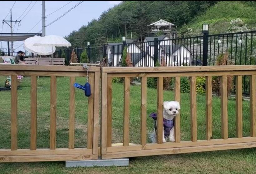 ホテル Seorak Jaeins Garden