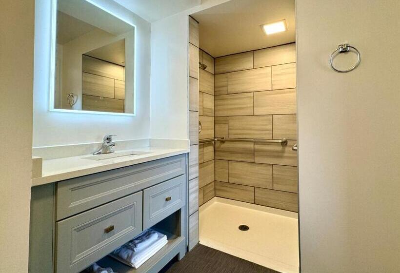 فندق The Gem Museum Suites