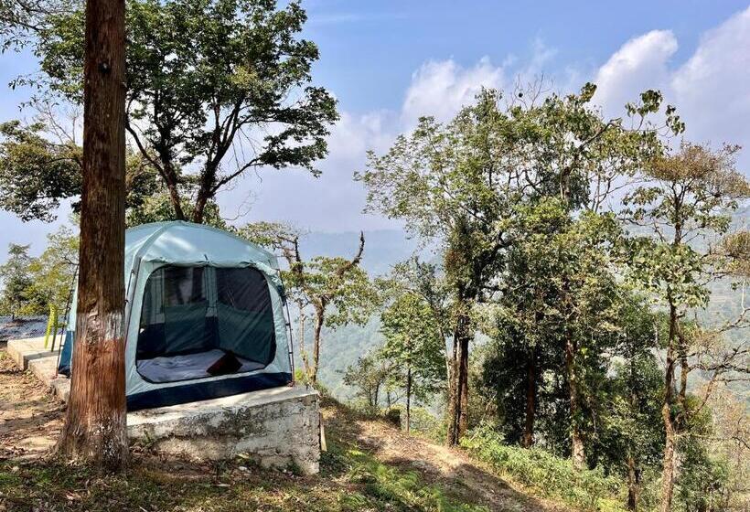 酒店 Whispering Pines Farmstay