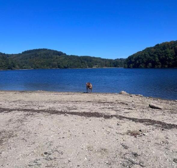 住宿加早餐  Le Cantou