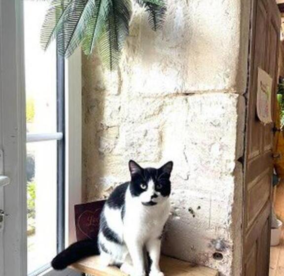 ペンション Charmant Duplex à La Campagne