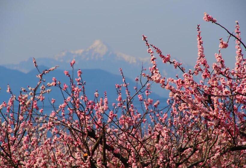 ريوكان ホテル晴山