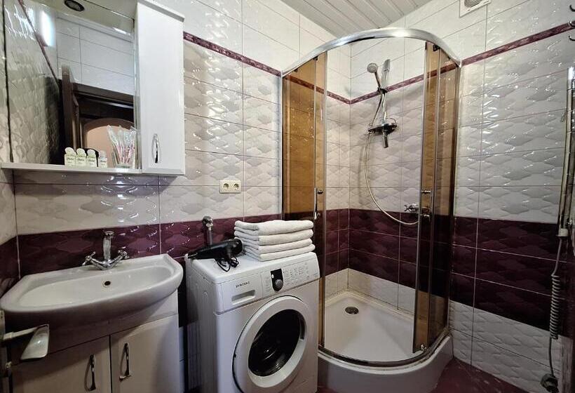 сапсан. двокімнатні квартири. мережа Alex Apartments. документи для відряджень