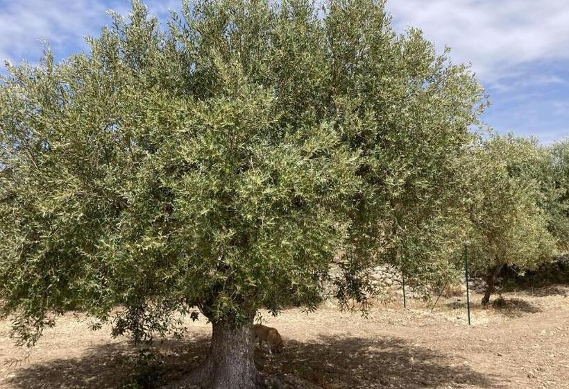 민박 Bnb Noto Charming Tiny House