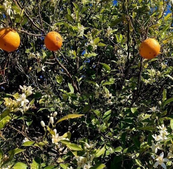 민박 Bnb Noto Charming Tiny House