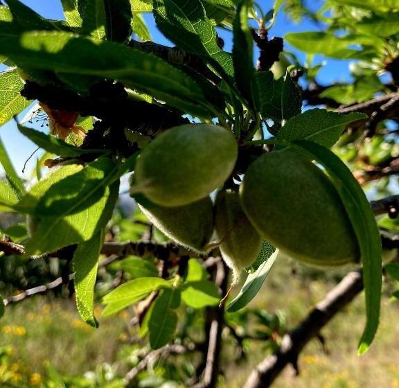 민박 Bnb Noto Charming Tiny House