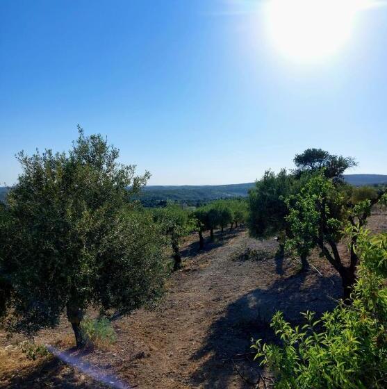 민박 Bnb Noto Charming Tiny House