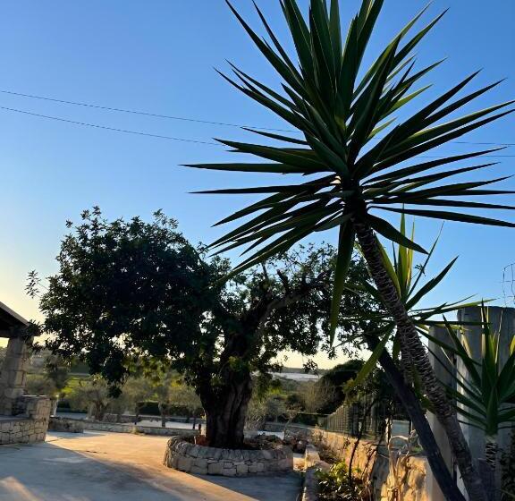 住宿加早餐  Farfalla Blu