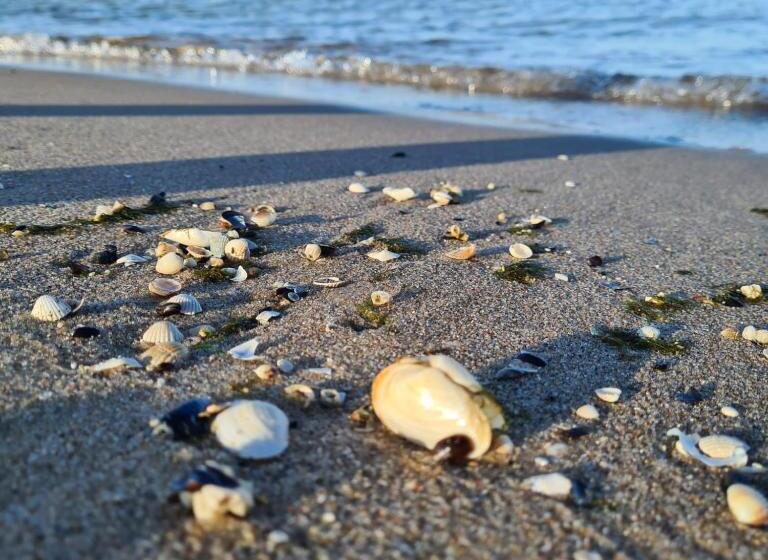 Gasthaus & Pension Natzke