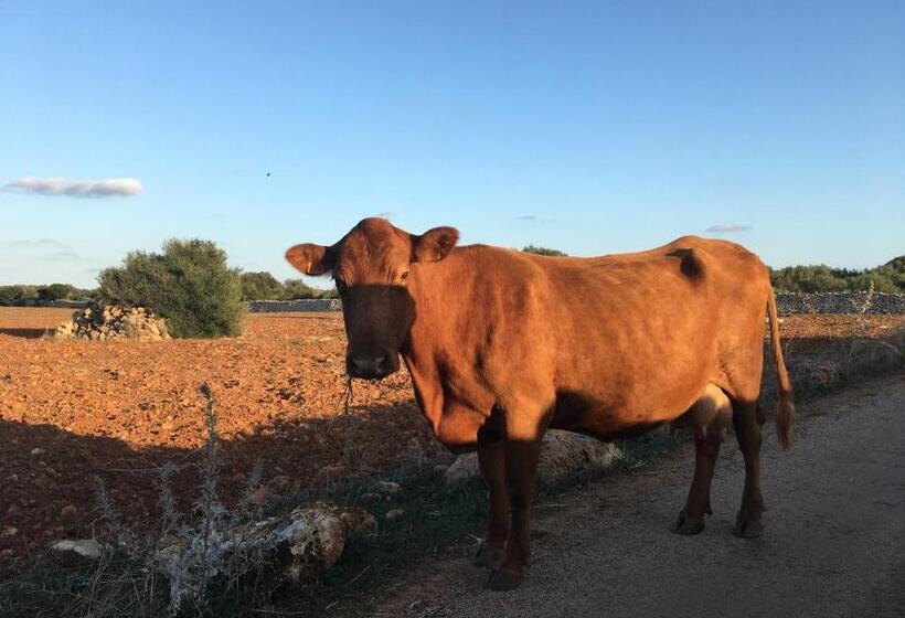 酒店 3a Ease Of Living