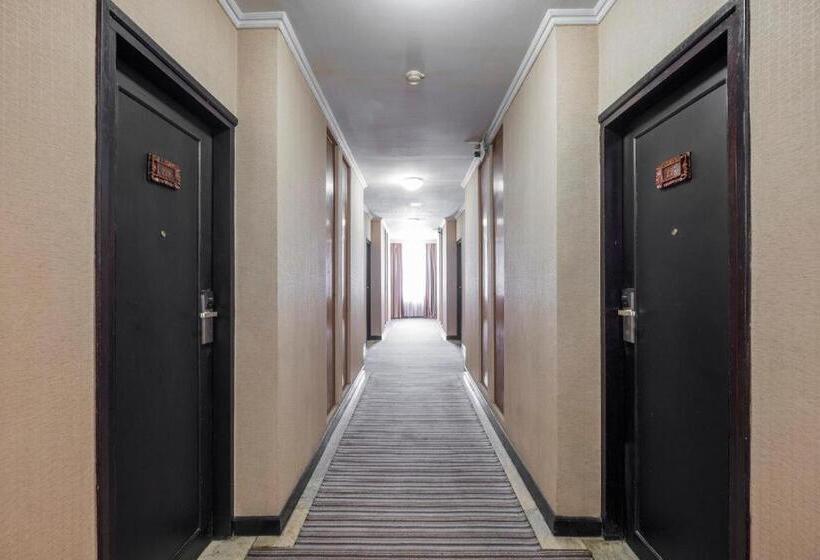 בית מלון כפרי Collection O 637 Yasmin