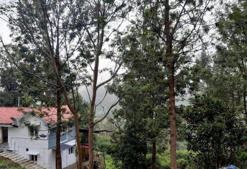 Отель Jacaranda Resorts