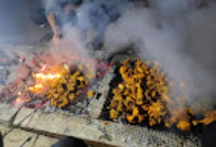 호텔 Mousuni The Dolphin Camp