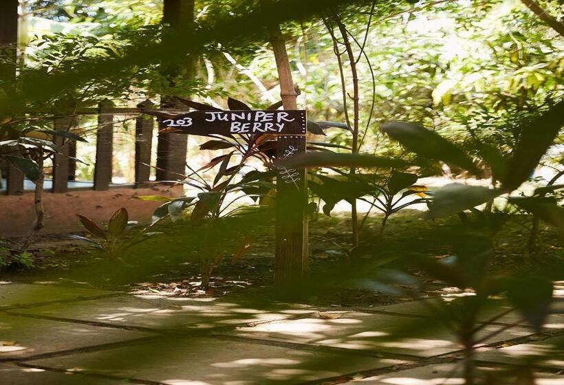 בית מלון כפרי Signum Resort Goa