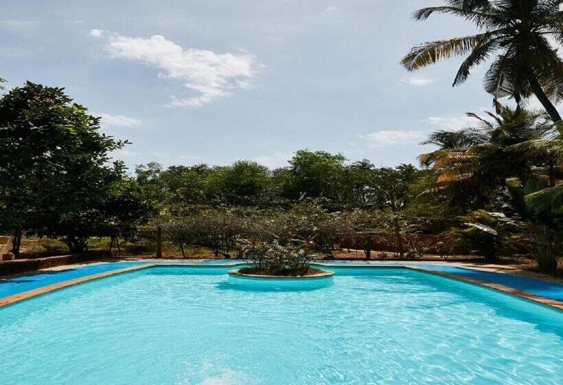 בית מלון כפרי Signum Resort Goa