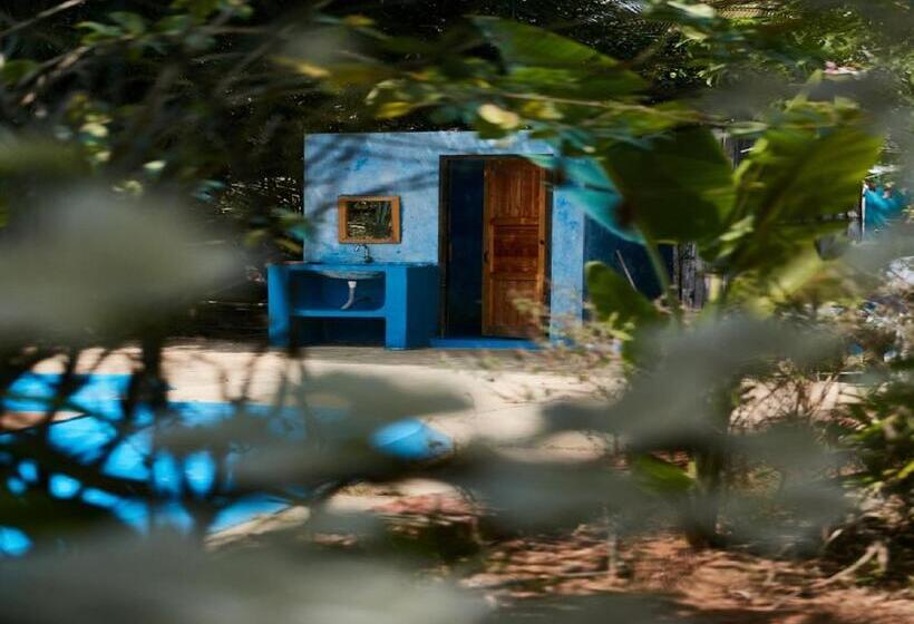 בית מלון כפרי Signum Resort Goa