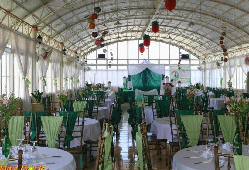 Island Tropic Hotel And Restaurant