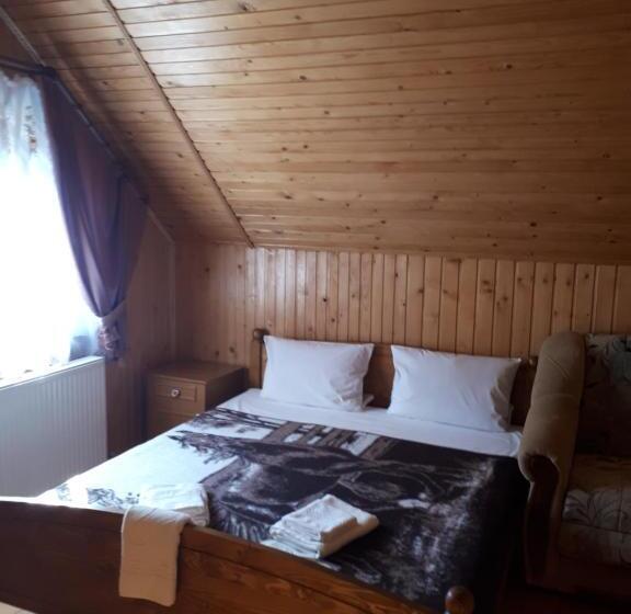 پانسیون ансол