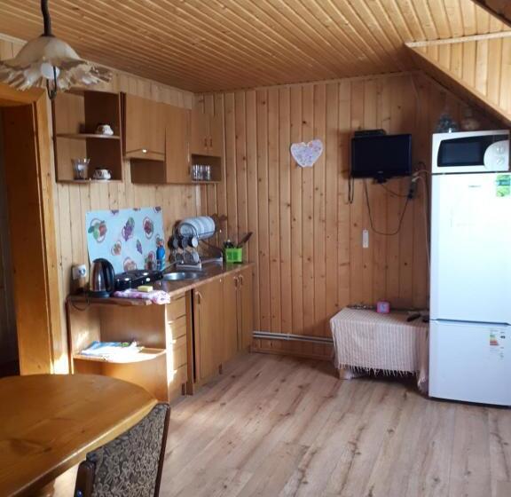 پانسیون ансол