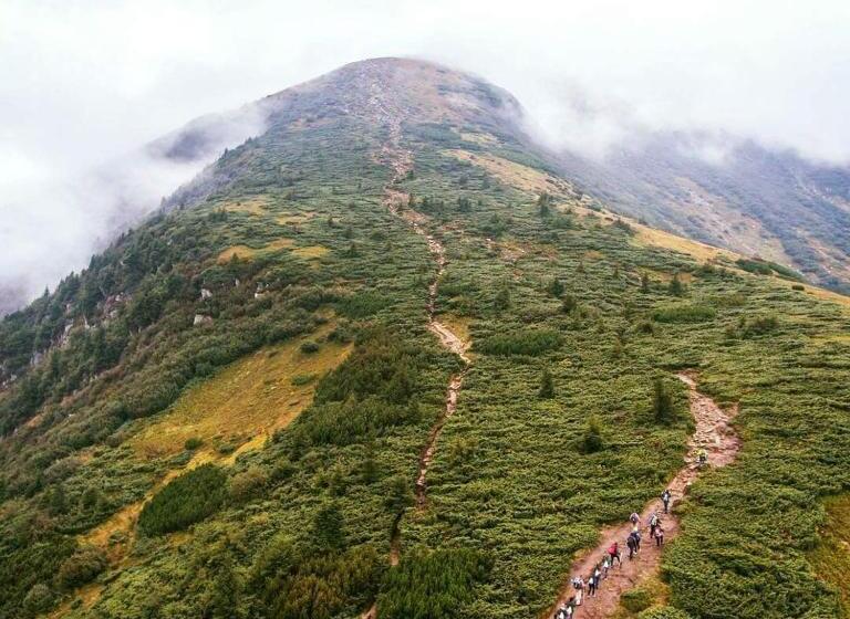 پانسیون ансол