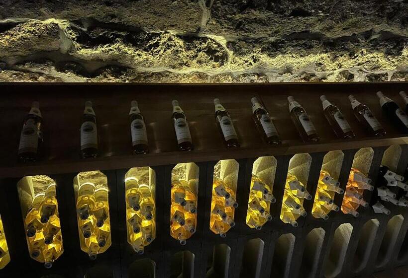 پانسیون Apartmány Horský Dvůr