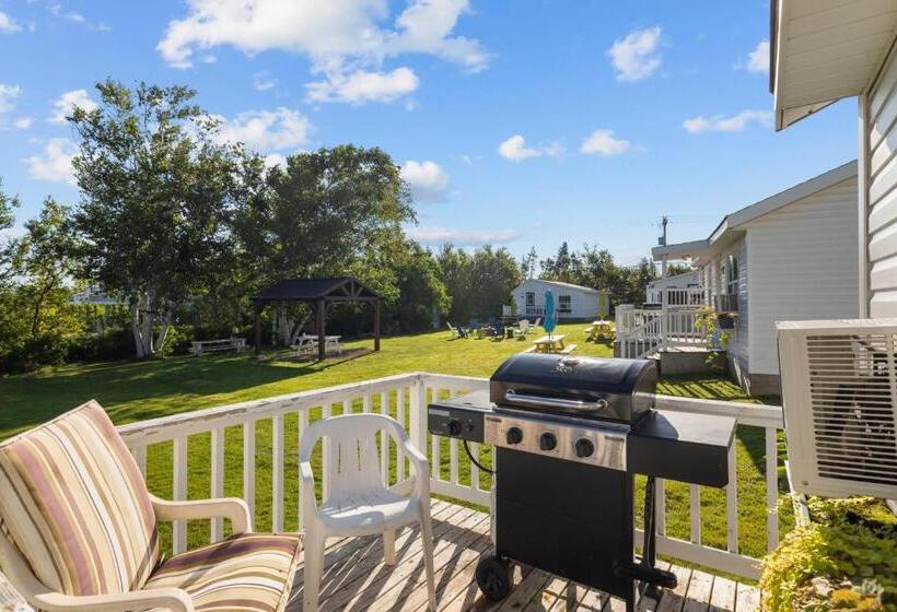 بنسيون Beach Trees Cottages