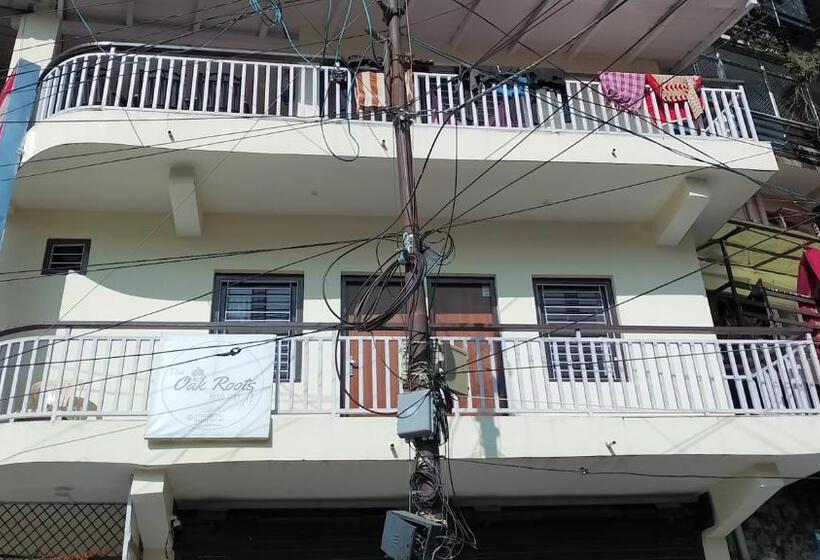 פנסיון The Oak Roots Homestay/