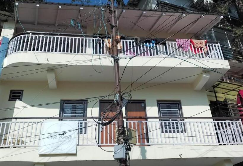 פנסיון The Oak Roots Homestay/