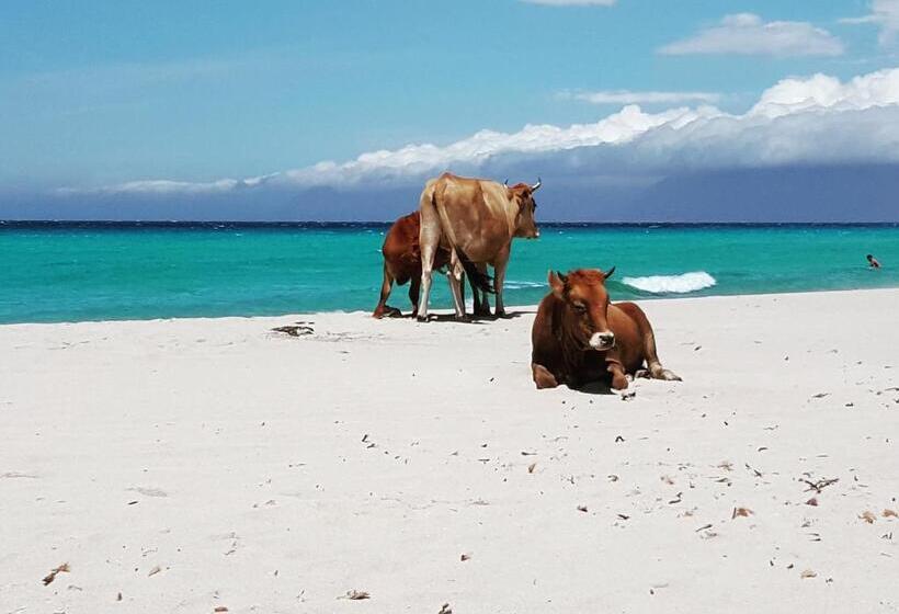 ペンション U Farniente