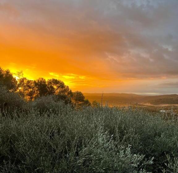 Pension Villa Pipa Polaris I Suite Elula   Vue Privilégiée, Intime, Sophistiquée