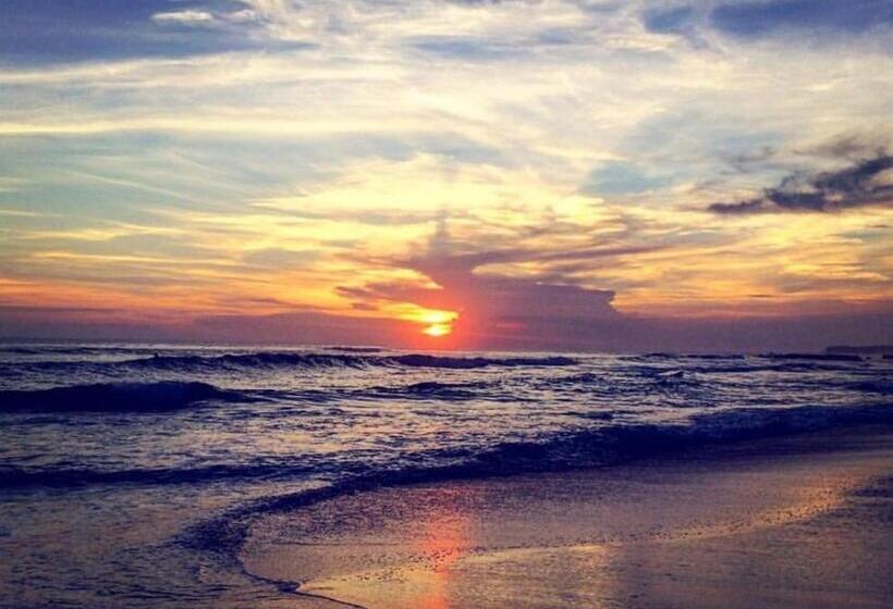 Phoenix Bed And Breakfast 3