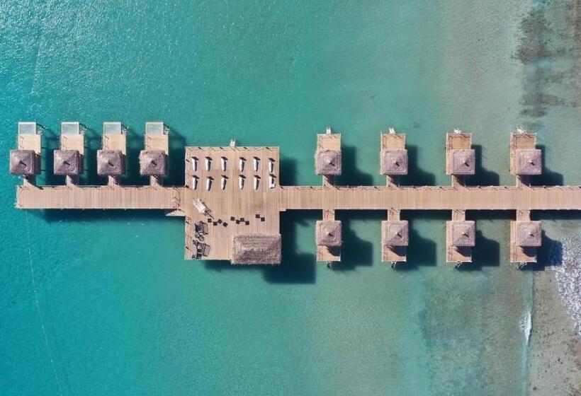 リゾートホテル Four Seasons Li̇fe Aparts And Vi̇llas Official