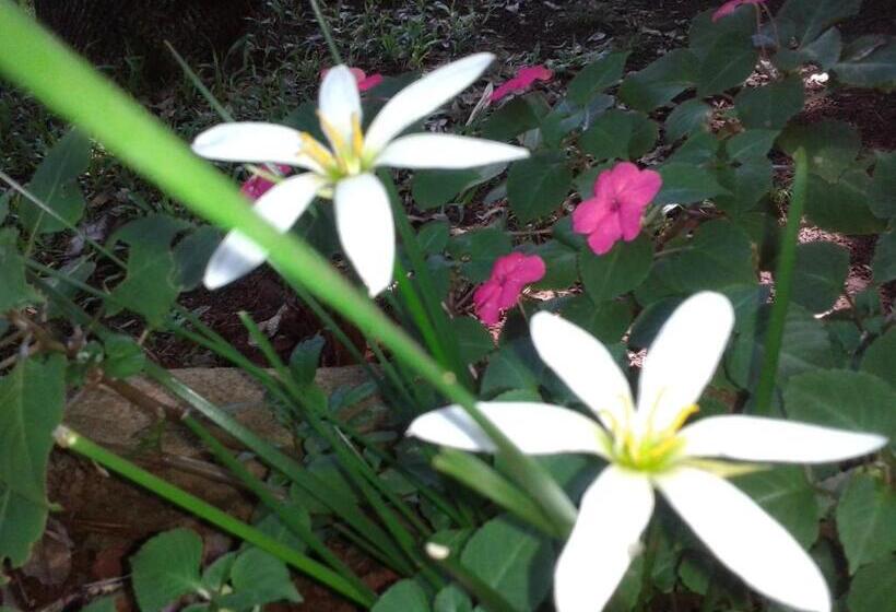 ユースホステル Cabañas Sueño Azul