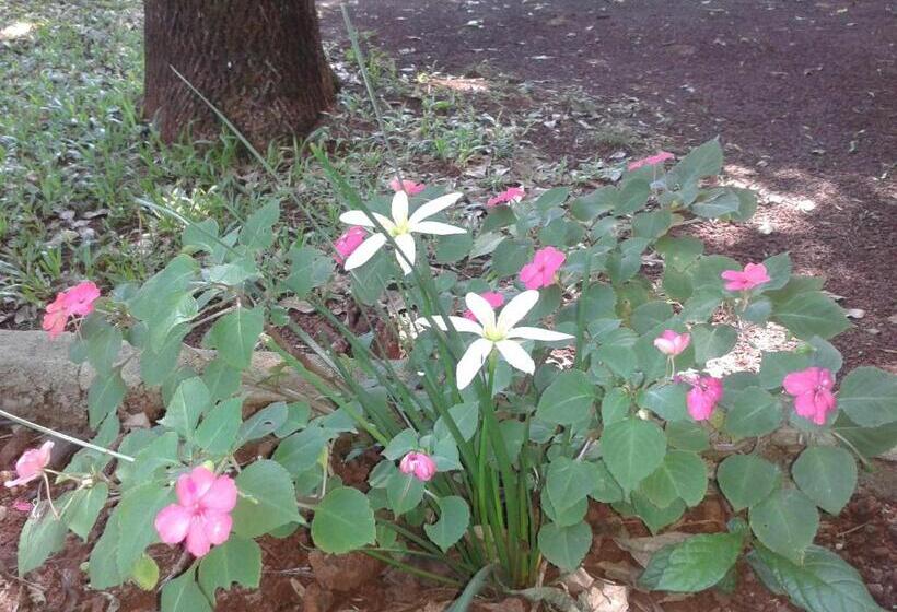 هاستل Cabañas Sueño Azul