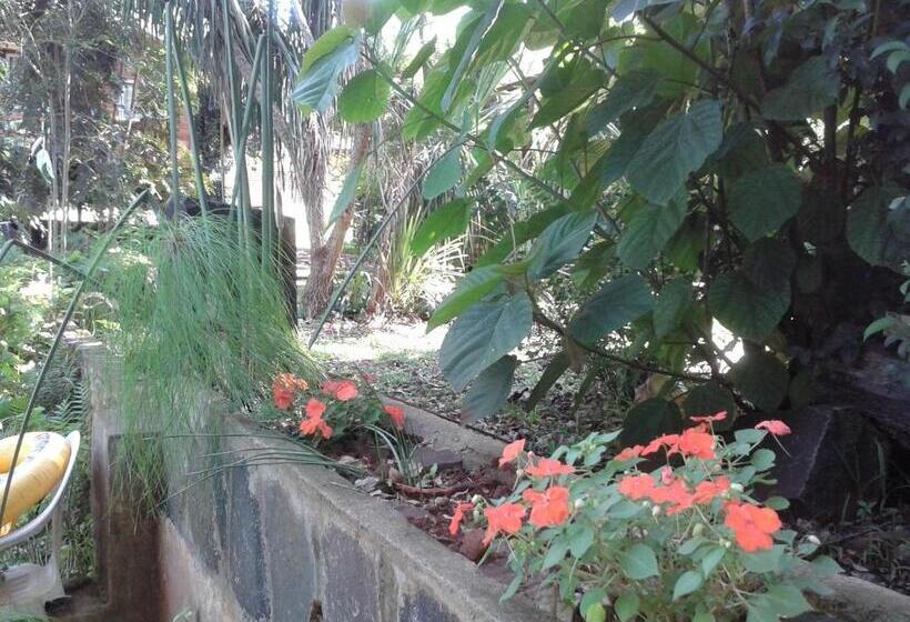 ユースホステル Cabañas Sueño Azul