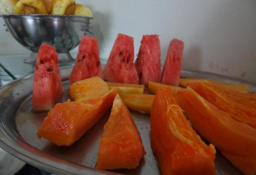 הוסטל Pousada Vó Otília