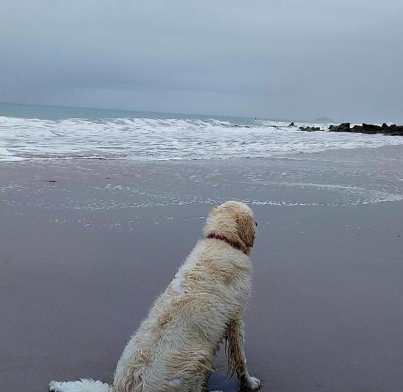민박 Chambres D Hôtes Frehel