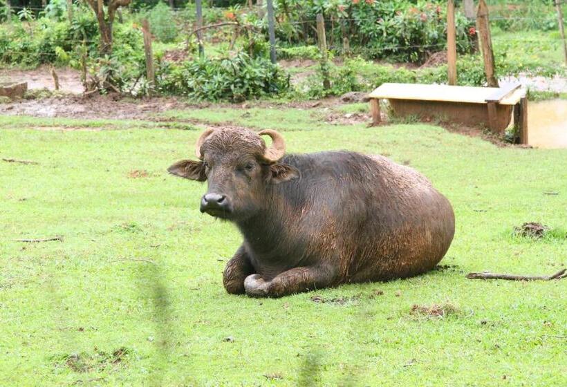 ホテル Fazenda Campo Dos Sonhos