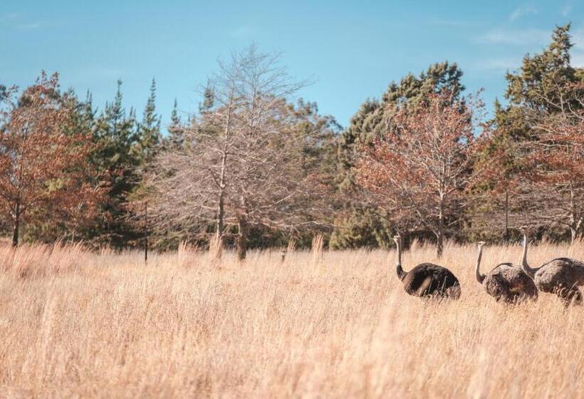 Пансион La La Nathi Country Guesthouse