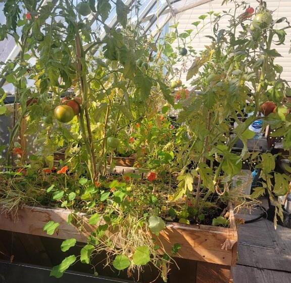 فندق صغير Auberge Internationale Le Tangon