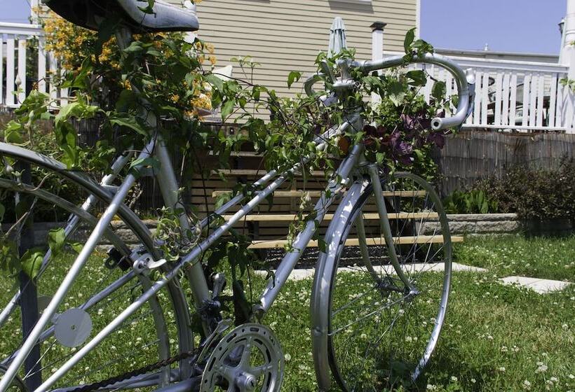 הוסטל Auberge Jeunesse à Loulou