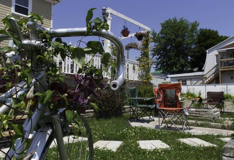 הוסטל Auberge Jeunesse à Loulou