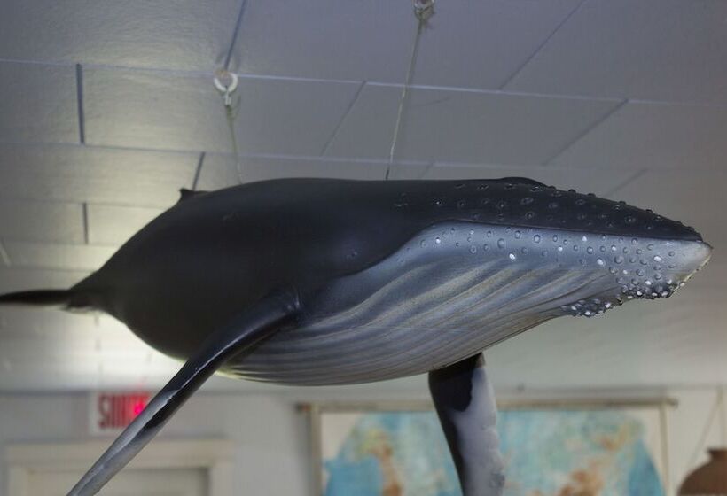 Auberge Internationale Forillon   Hostel