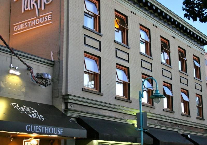 호스텔 Painted Turtle Guesthouse