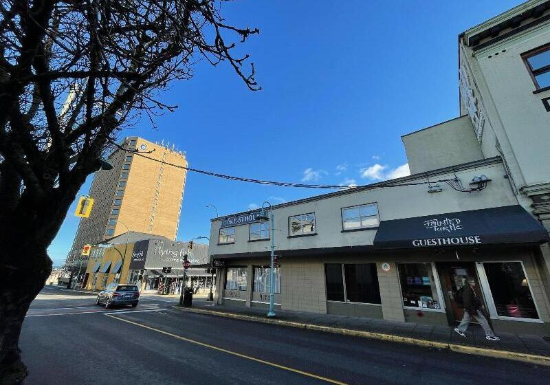 호스텔 Painted Turtle Guesthouse