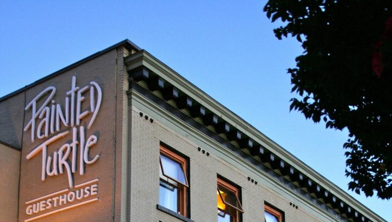 호스텔 Painted Turtle Guesthouse