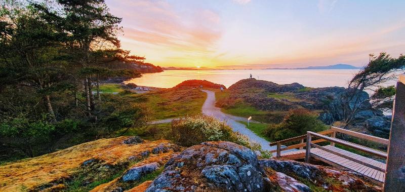 호스텔 Painted Turtle Guesthouse